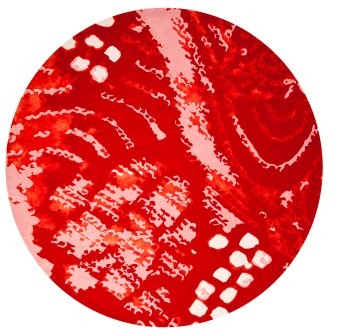 新中式風(fēng)格圓形紅色地毯貼圖